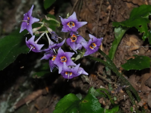 f0348480_16150334.jpg