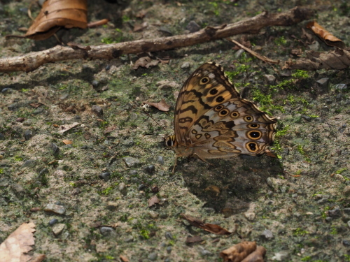 f0348480_16303849.jpg