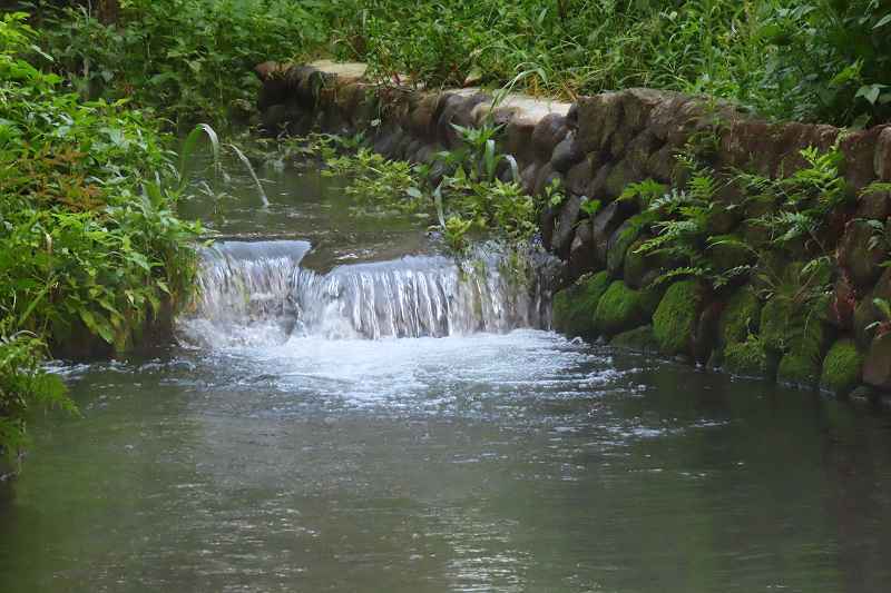 d0381582_21084230.jpg