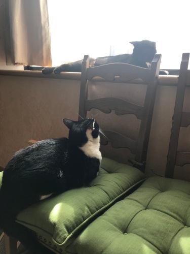 a0216583_23403175.jpeg