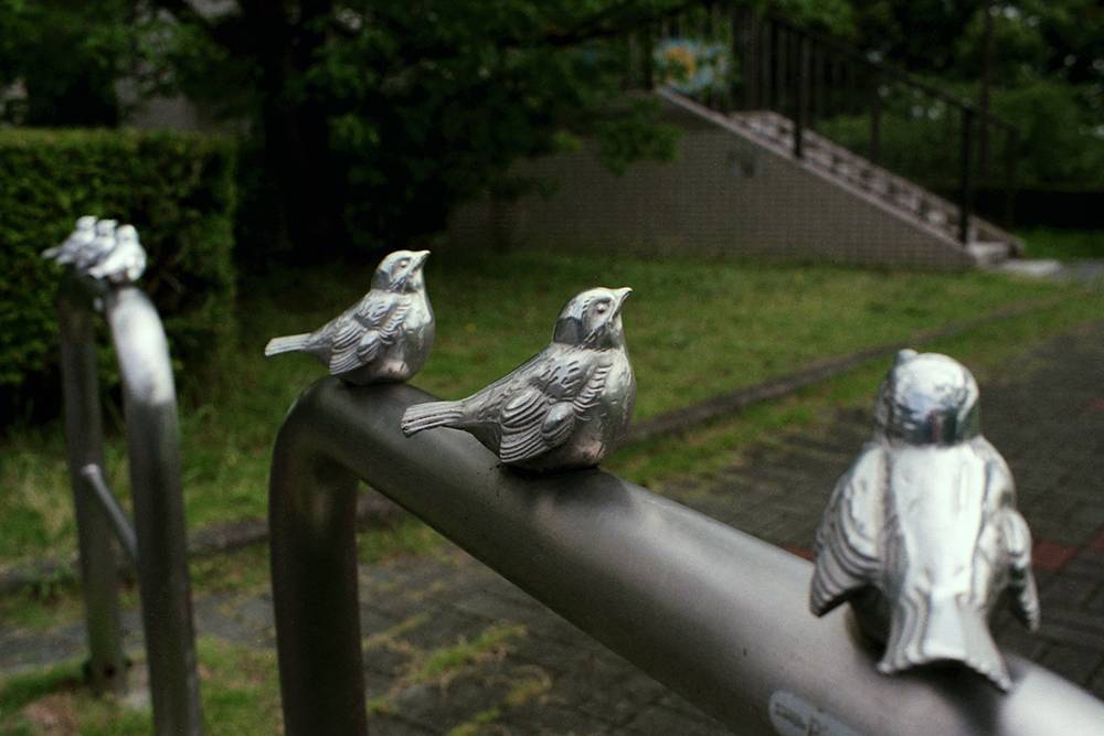 フィルムで撮った梅雨時の公園_f0159784_16022824.jpg