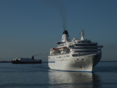 b0192588_818960.jpg
