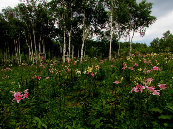 b0203588_23002953.jpg