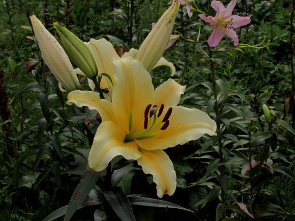 b0203588_23010500.jpg