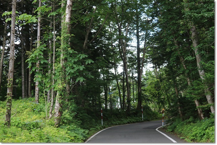f0146493_22023203.jpg