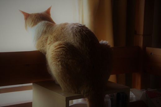 遊ぶ_a0333195_11535773.jpg