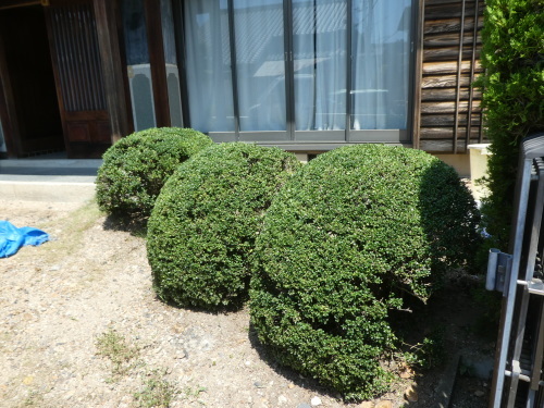 c0108198_15442038.jpg