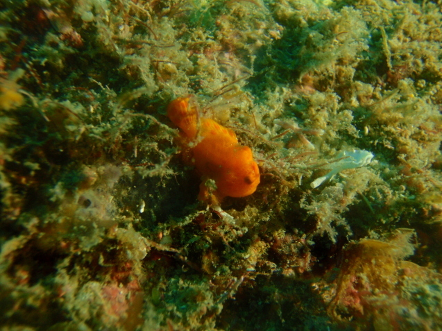 e0115199_14020104.jpg