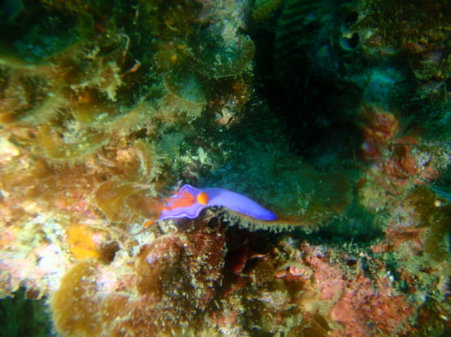 e0115199_14023591.jpg
