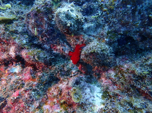 e0115199_14220405.jpg