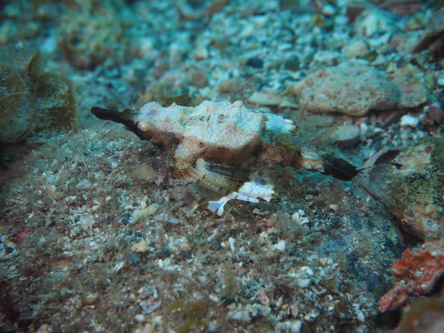 e0115199_14414667.jpg