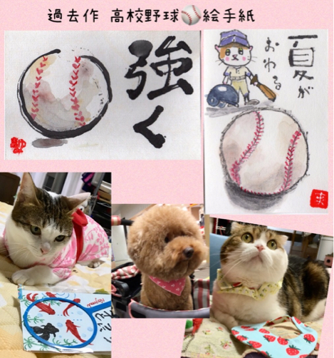 びーちゃん_f0375804_06432770.jpg