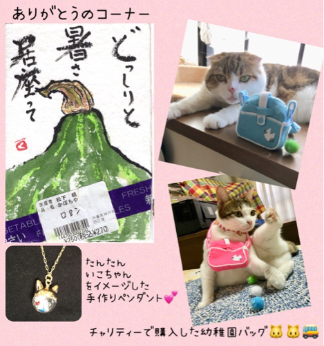びーちゃん_f0375804_06432808.jpg