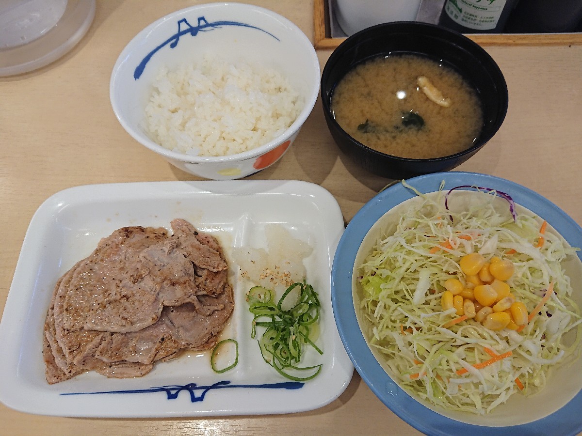 8 11 豚ロース焼肉定食ライスミニ 480 松屋 無駄遣いな日々