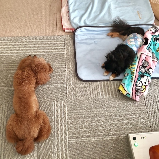 よろしくね、ジョン。_f0197215_20304577.jpg