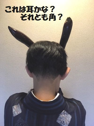 まるで”かりあげクン”?_e0234016_17484723.jpg