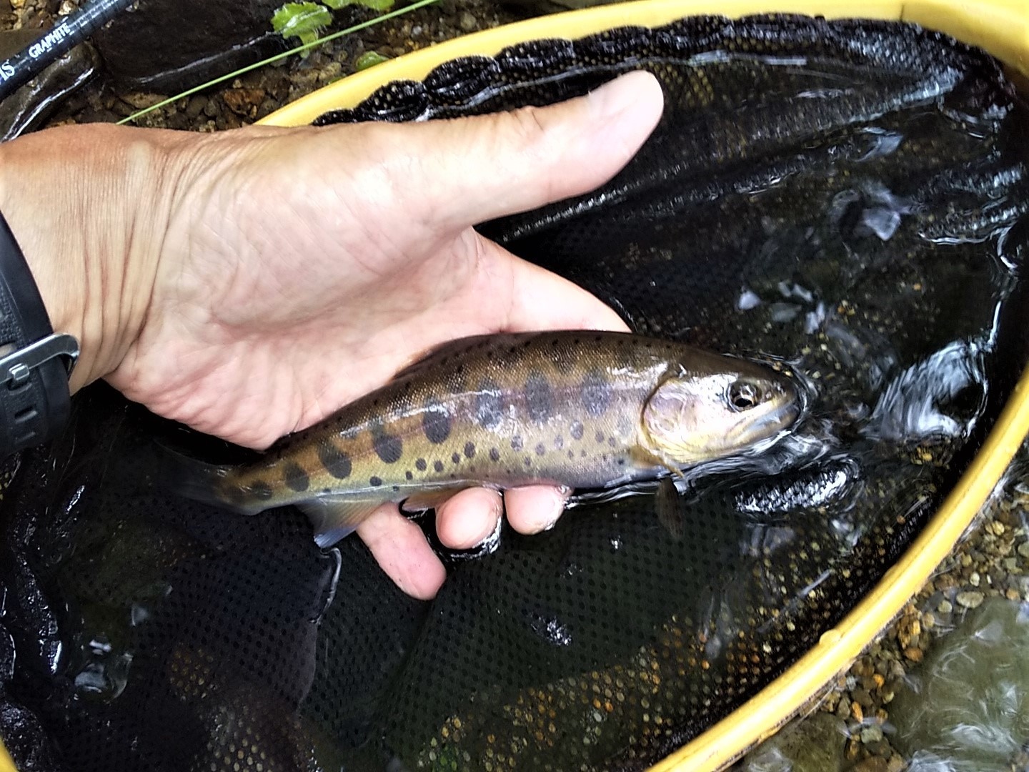 8月11日(日)の釣り日記!_f0280717_14344692.jpg