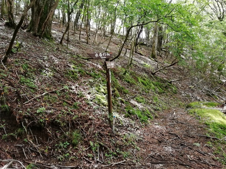 f0193521_4305255.jpg