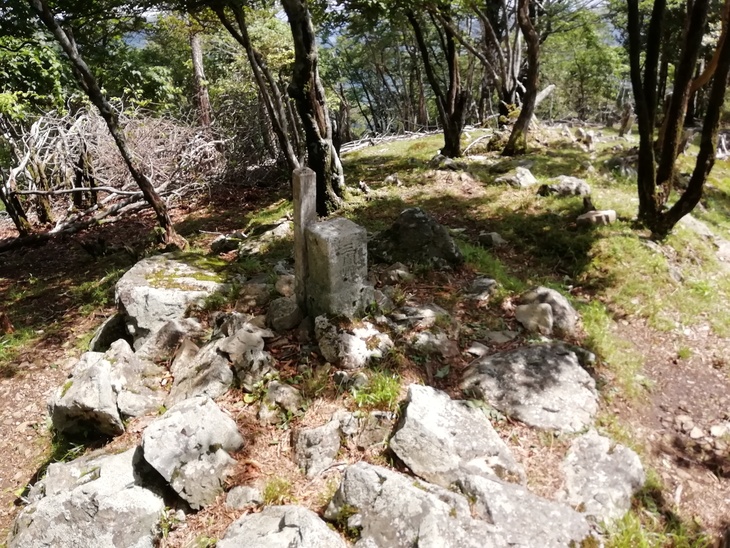f0193521_431342.jpg
