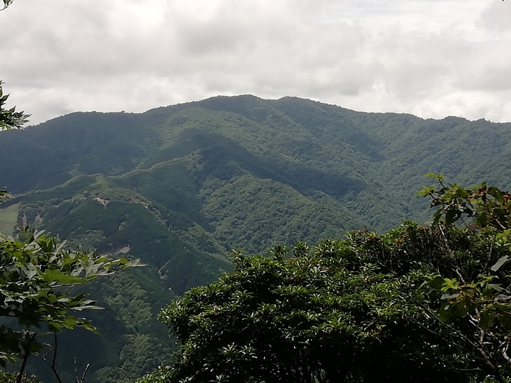 f0193521_4342614.jpg