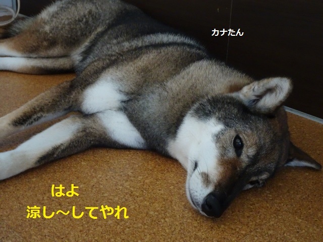 f0143123_08272359.jpg