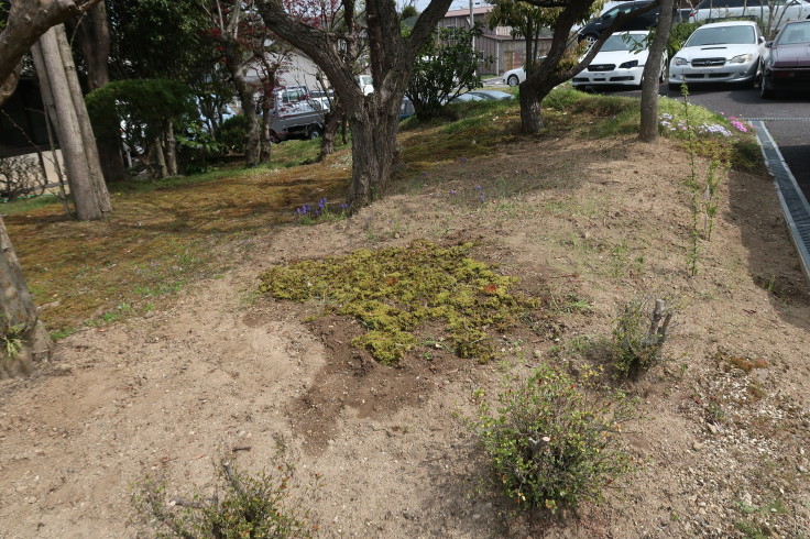 真夏から猛旬を振り返る_f0076731_21152092.jpg