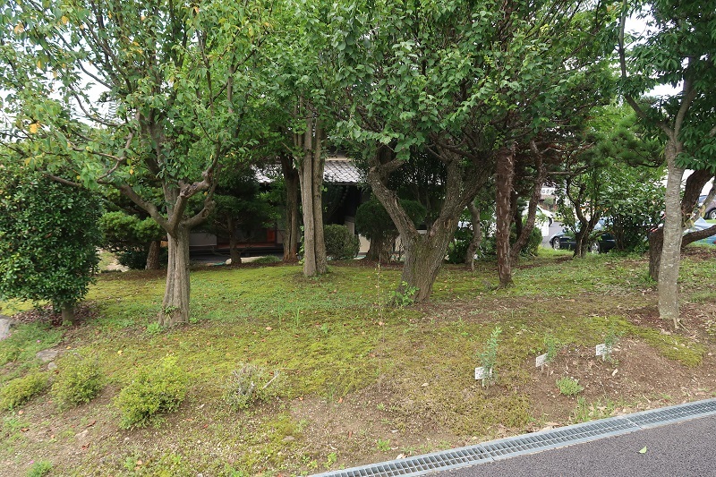 真夏から猛旬を振り返る_f0076731_21155798.jpg