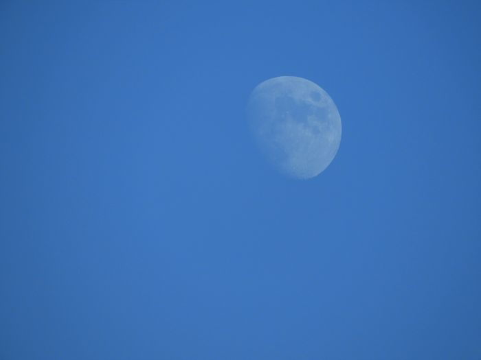 a0354432_20122128.jpg