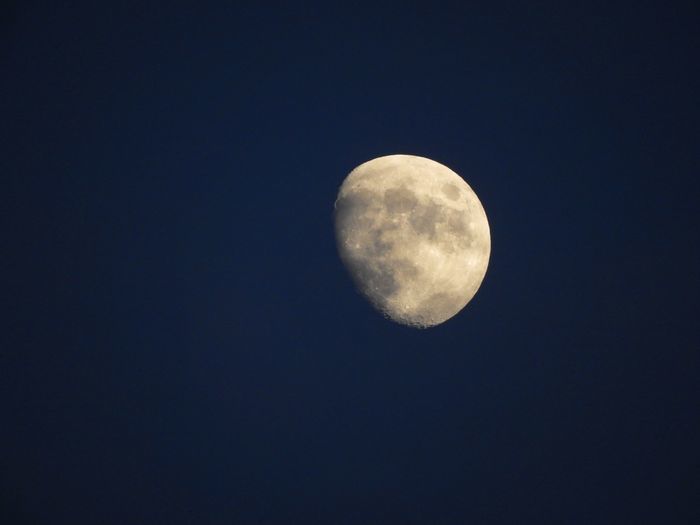 a0354432_20350059.jpg