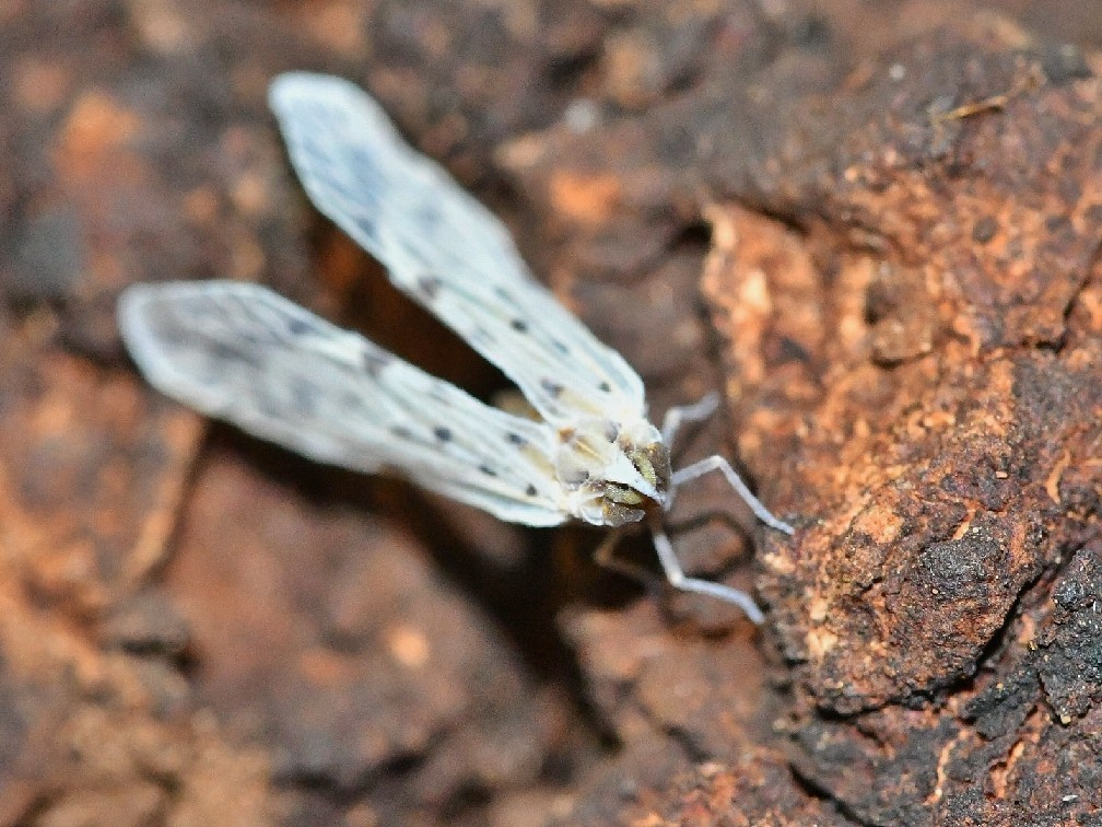 f0340732_15511113.jpg