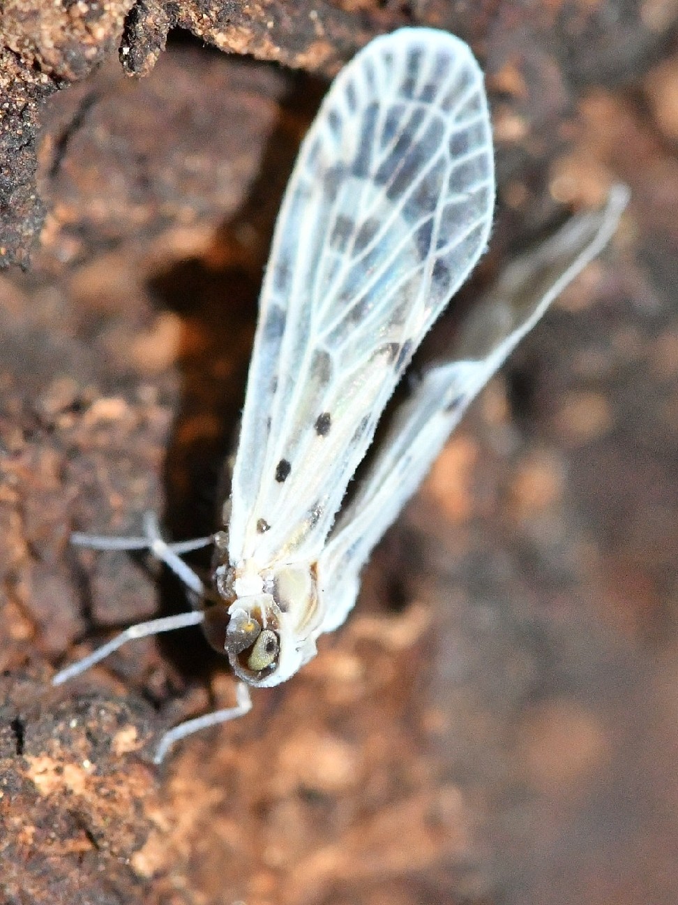 f0340732_15511184.jpg