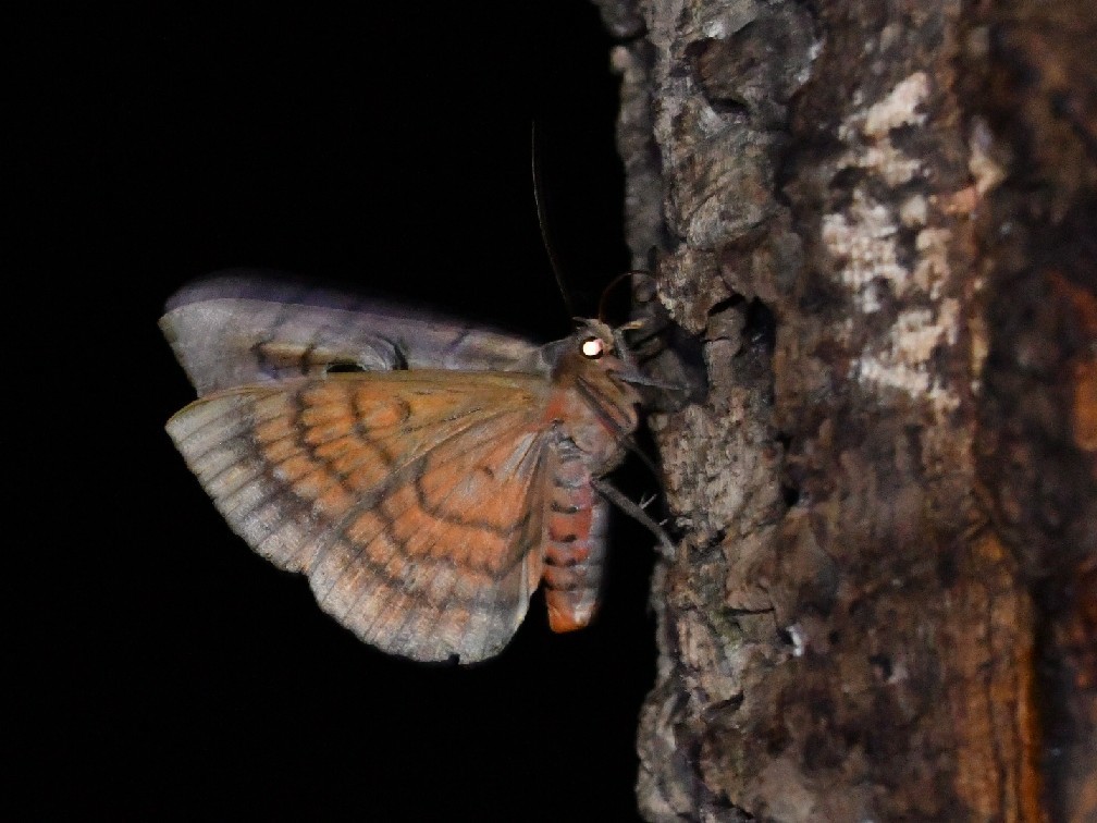 f0340732_22513017.jpg