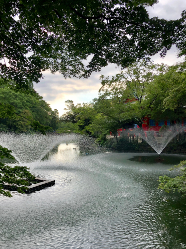 f0327534_08000551.jpg