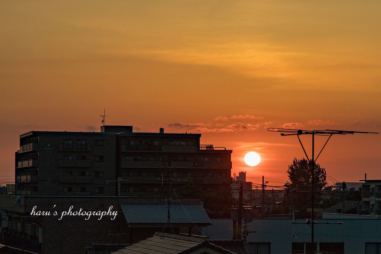 屋根の上から夕日_f0297537_11243617.jpg