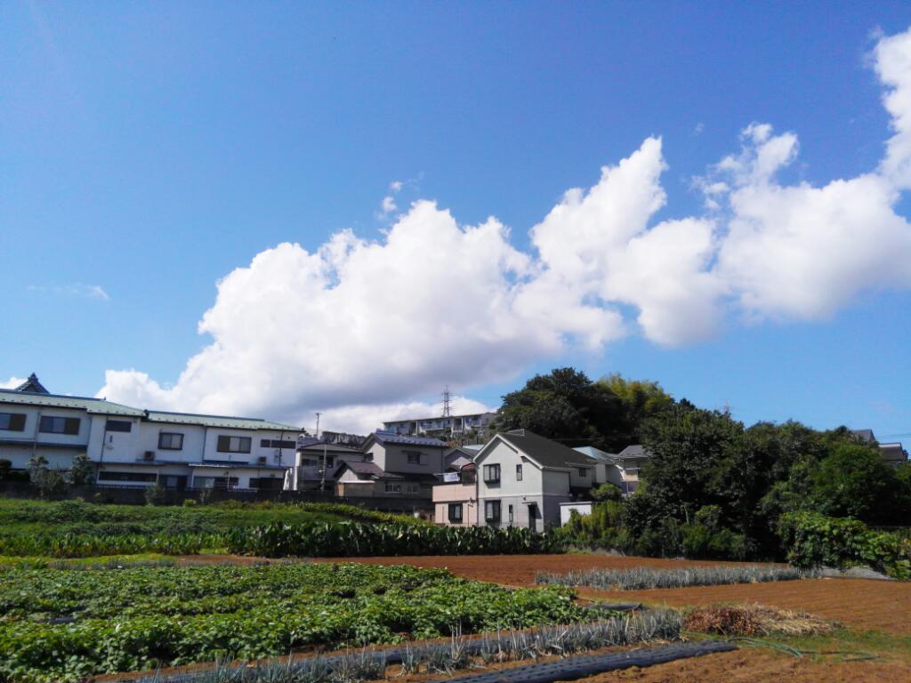 画像情報