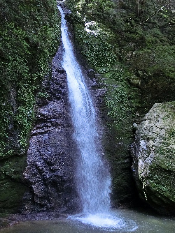 山の日、徳島県の黒沢湿原と高知県の梶ケ森へ_d0080249_19553793.jpg