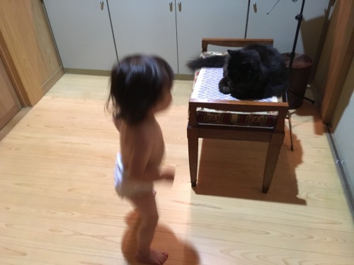 a0152454_22103439.jpeg