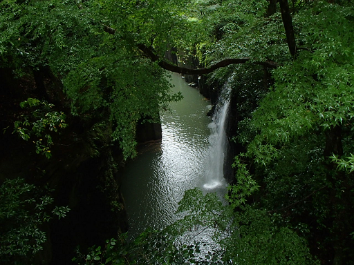 b0135255_14150907.png