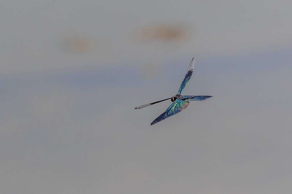 f0044056_09323792.jpg