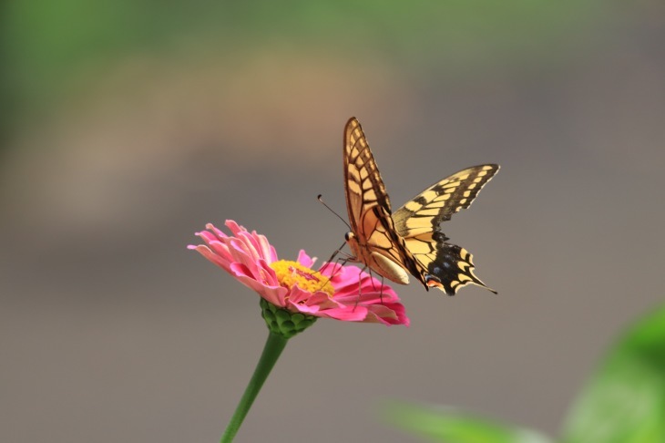 a0248459_13471797.jpg