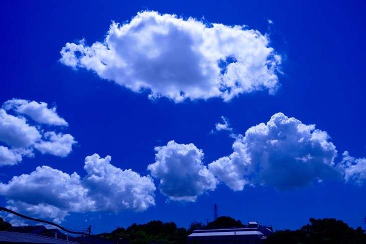 a0248459_13531151.jpg