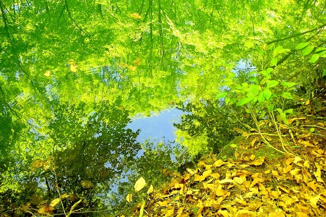 <2019年初夏・盛夏>わが故郷「越後の魅力」(柏崎&十日町)を再発見!_c0119160_16345693.jpg