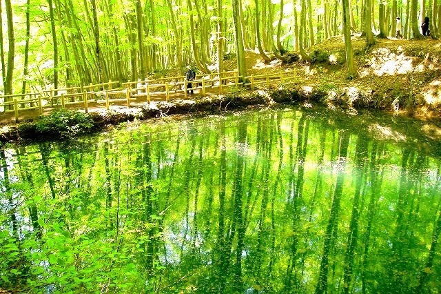 <2019年初夏・盛夏>わが故郷「越後の魅力」(柏崎&十日町)を再発見!_c0119160_16442411.jpg