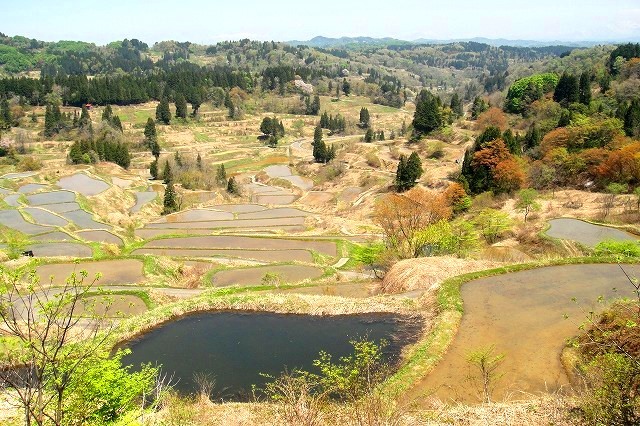 <2019年初夏・盛夏>わが故郷「越後の魅力」(柏崎&十日町)を再発見!_c0119160_17181266.jpg