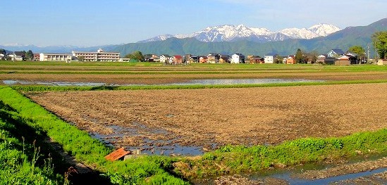 <2019年初夏・盛夏>わが故郷「越後の魅力」(柏崎&十日町)を再発見!_c0119160_18110784.jpg