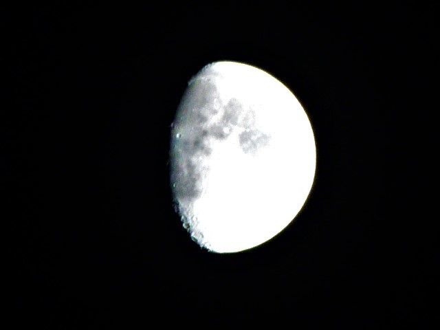 おはようモーニング_c0100865_06345514.jpg