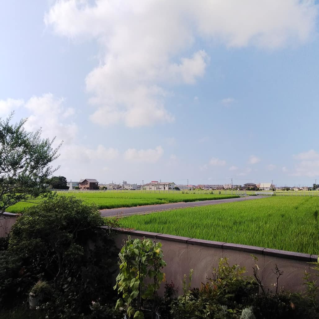 b0194267_21481746.jpg