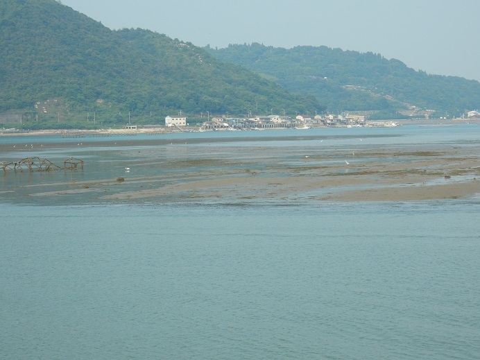 潮位マイナスの三津口湾2019夏_e0175370_11473788.jpg