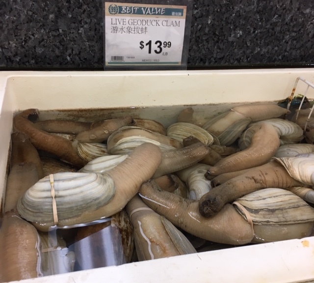 珍しい食材ーミル貝、ドラゴンフルーツなどなど_e0350971_10343453.jpg