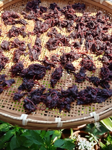 c0162773_08382359.jpg